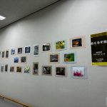 素敵な写真がたくさんあります！「あくろす展」